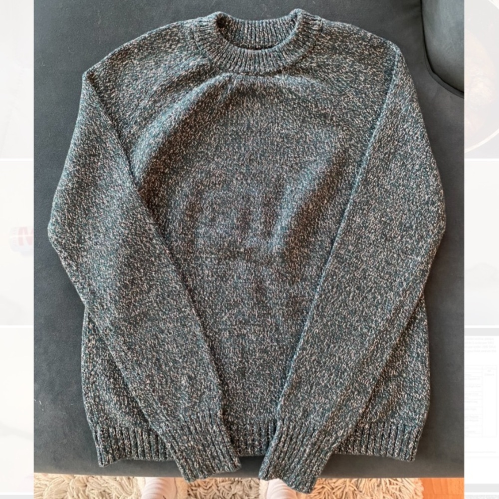Crewneck knitwear/sweater